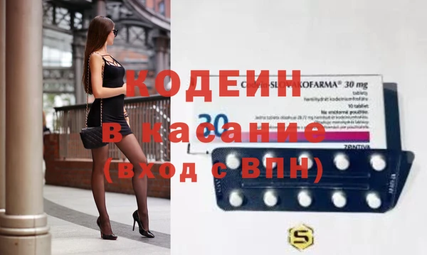 индика Беломорск