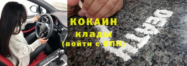индика Беломорск