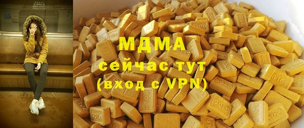 индика Беломорск