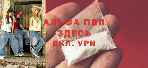 индика Беломорск